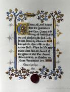 Glove, Award of the