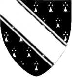 Device: Counter-ermine, a bend cotissed argent